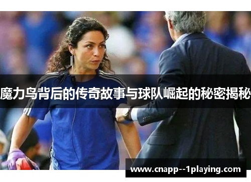 魔力鸟背后的传奇故事与球队崛起的秘密揭秘